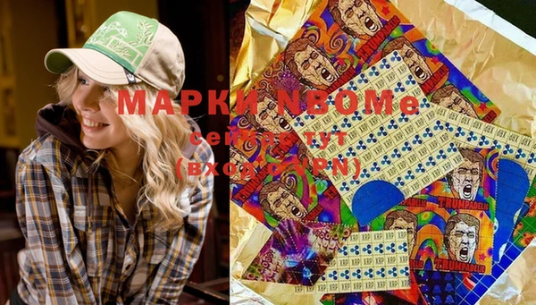 индика Армянск