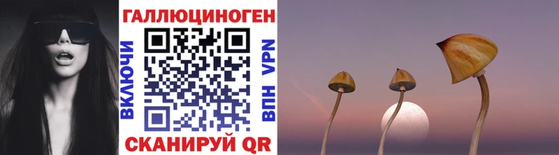 блэк спрут как войти  хочу наркоту  Михайловск  Псилоцибиновые грибы мухоморы 